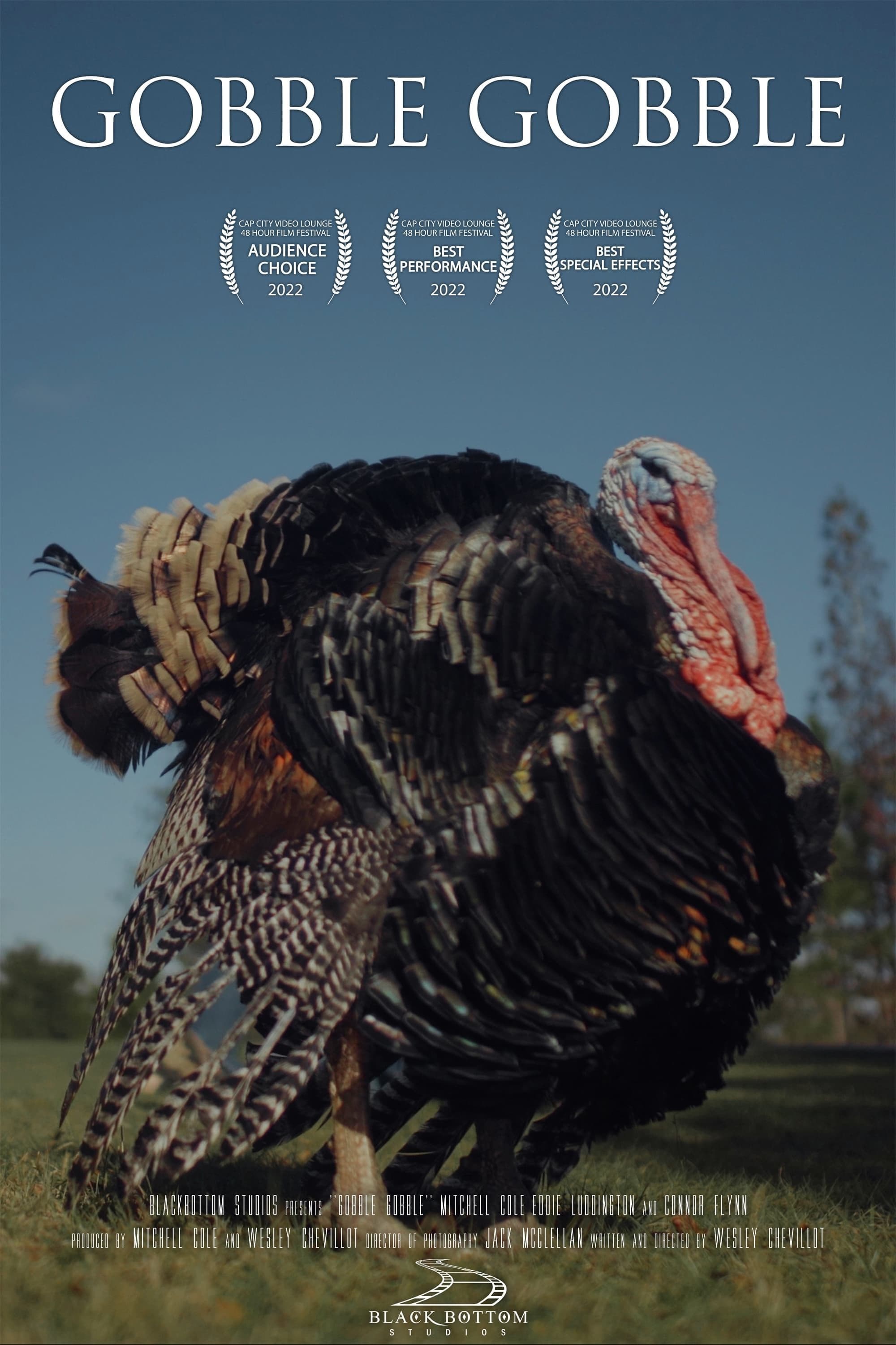 Gobble Gobble (2022) movie poster