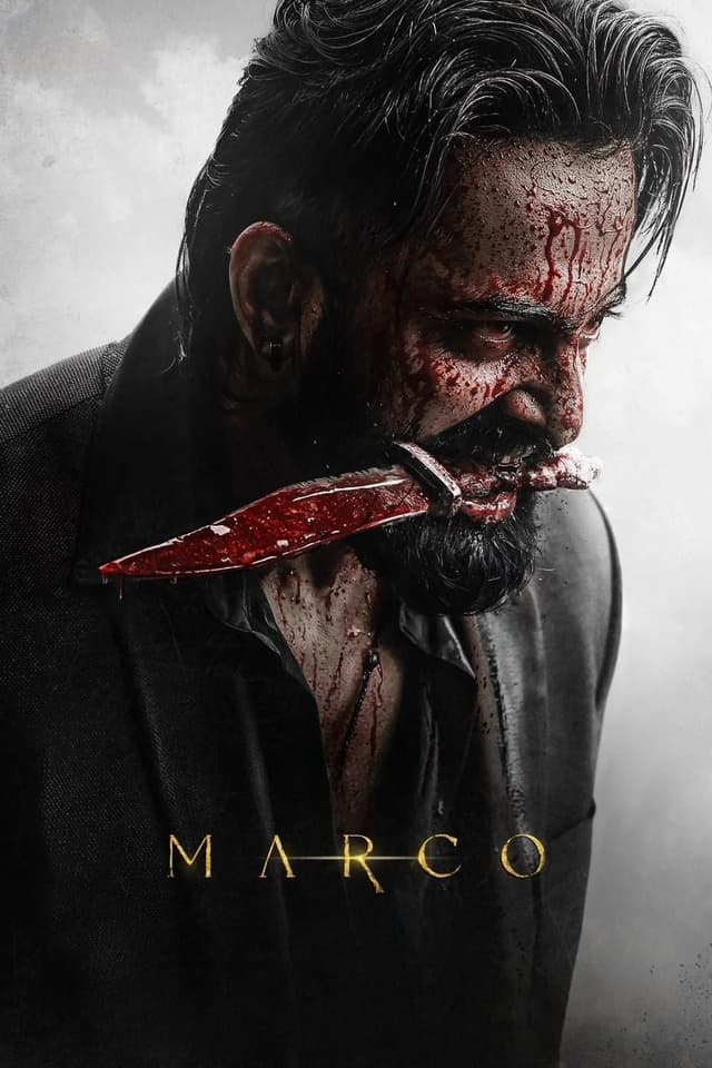 逆途 poster