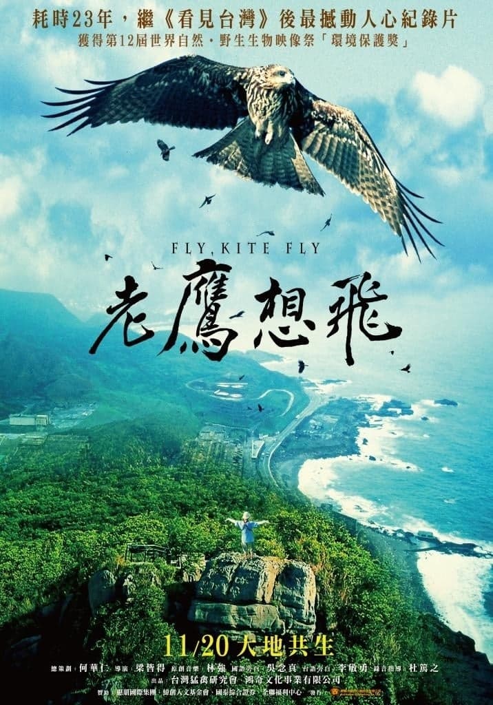 老鷹想飛 (2015) movie poster