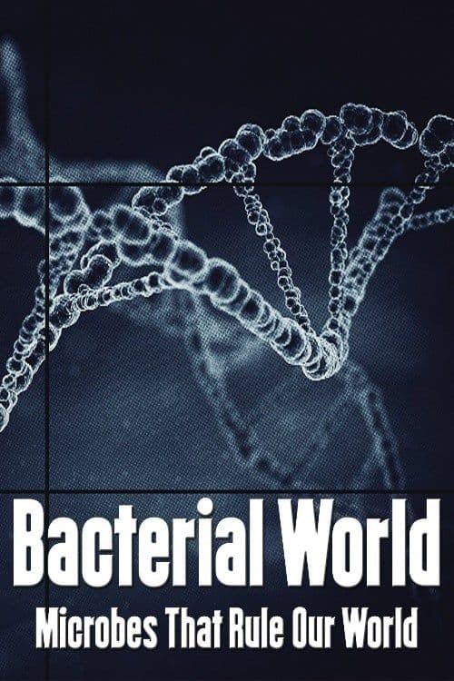 Bacterial World (2016) 电影海报