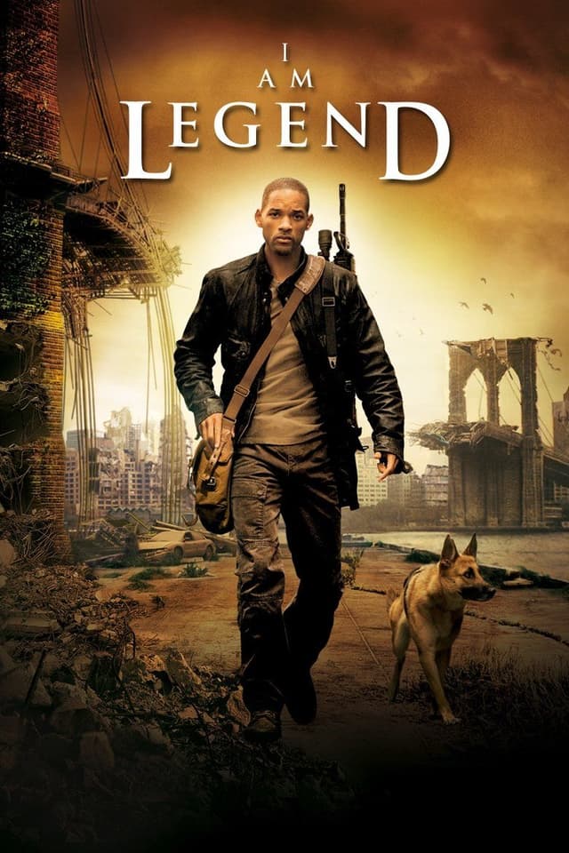 我是传奇 poster