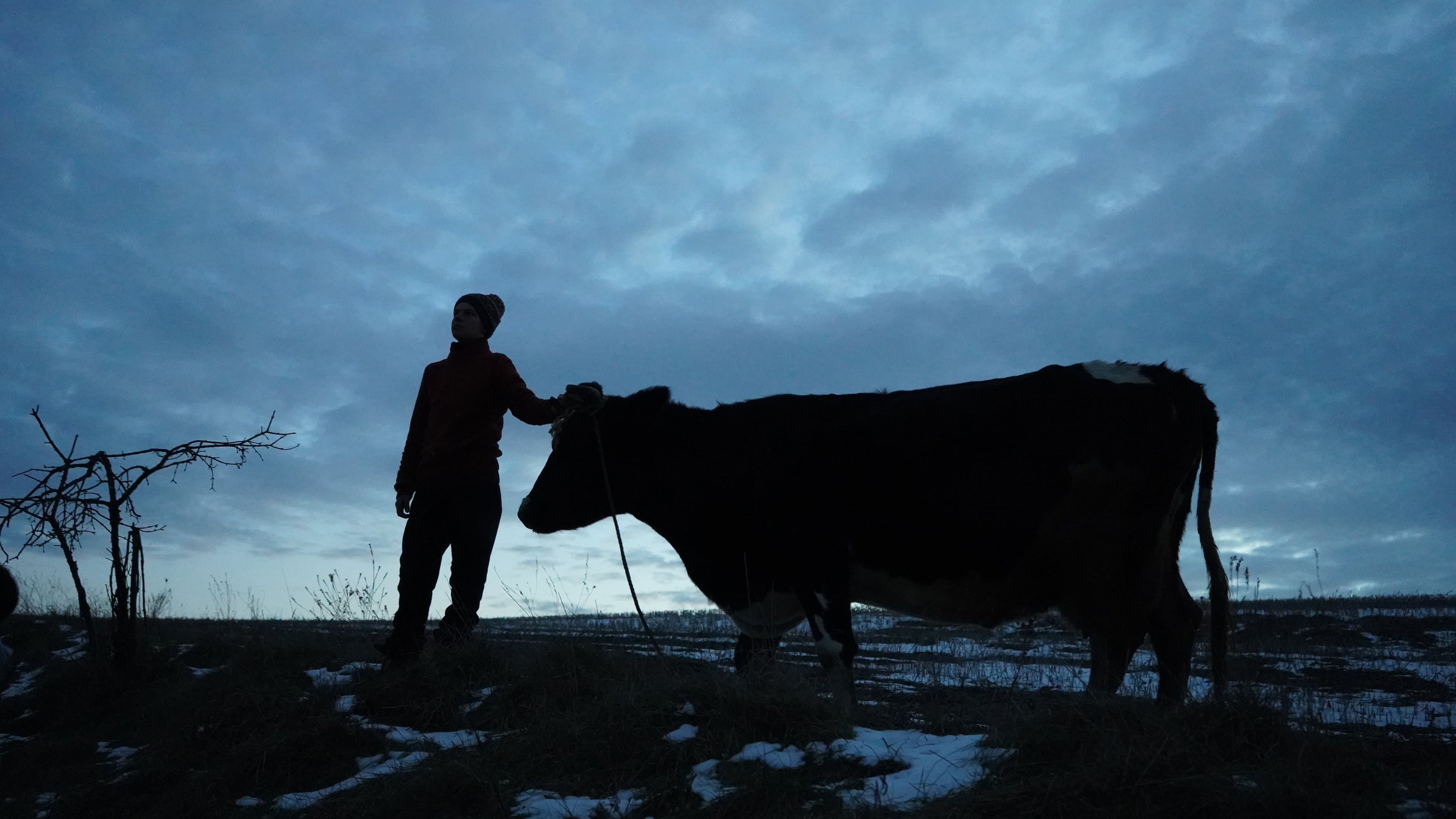 Animals in War backdrop