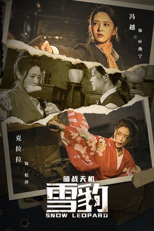 雪豹之暗战天机 poster